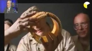 Что искали военные США в подземном хранилище музея Вавилона в Ираке❓ Голова Нимрода в ящике❓👆🤔🧐😲