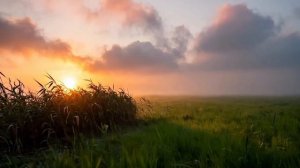 Судьбоносное послание на 27 ноября для всех знаков зодиака.