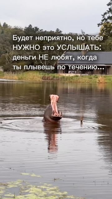 Зачем тебе это болото?