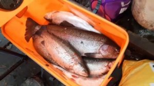 27.11.25 г. РК Волна.