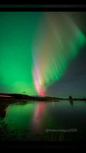 Полярное сияние. Канада, Альберта 13.11.2025.@ https___t.me_Lkarmaz1954_8466