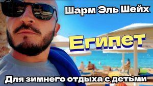 Египет 2025 🇪🇬 ЧТО ТВОРИТСЯ НА ПЛЯЖЕ PICKALBATROS AQUA BLU RESORT / ДЛЯ ЗИМНЕГО ОТДЫХА С ДЕТЬМИ