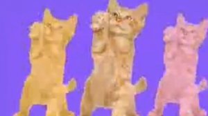 Кити танцы🕺😸