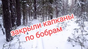 Закрытие капканов по бобрам.