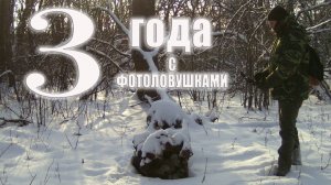 Три года с фотоловушками, личный опыт и как я до этого докатился / Фотоловушка в лесу
