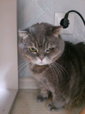 секреты животных