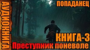 Преступник поневоле Книга-3 Аудиокнига #аудиокнига #аудиокниги #попаданец #попаданцы