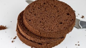 Очень простой, быстрый и вкусный Шоколадный бисквит от Лианы Сорока