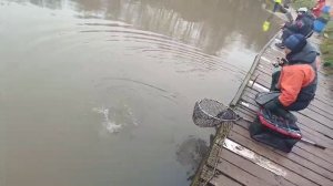 Аркадий в деле