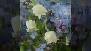 Не надейся © Copyright: Бронислав Сычёв, 2021
Свидетельство о публикации №121060102827