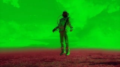 MADE FOR HUMANS OPEN FOREST