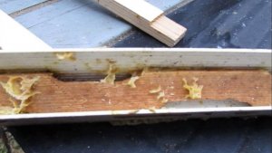 ответы на вопросы - плотики для кормушек с белково дрожжевой подкормкой , где беру , 27.11.2025