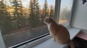 УБОРКА НА БАЛКОНЕ. МОТИВАЦИЯ НА УБОРКУ