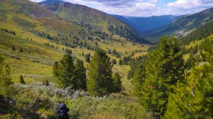 МЕДВЕДЬ СОЖРАЛ НАШИ ПРОДУКТЫ. ВЫЖИВАЕМ НА РЫБЕ. ИДЁМ 200 КИЛОМЕТРОВ