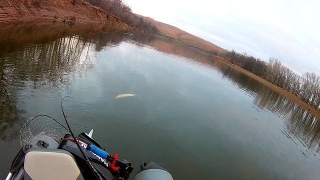 КРАЙ ОКТЯБРЯ НАЧАЛО НОЯБРЯ ЩУКА КЛЮЁТ РАЗНОКАЛИБЕРНАЯ