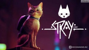 Играем в Stray P.A.R.T. 1