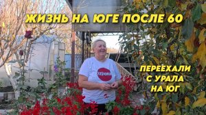 1032 Как обрезать яблони и груши/Жизнь семьи на юге/Переехали на Кубань