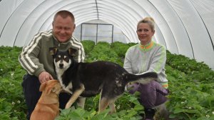 Новые БЯКИ-БУКИ? АНОНС