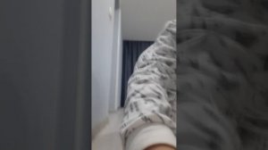 отжимания майка тайсона