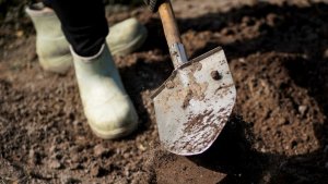 Мужчина убил бывшую жену и надругался над ее трупом