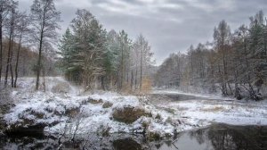 Пересказ рассказа "Предзимье"