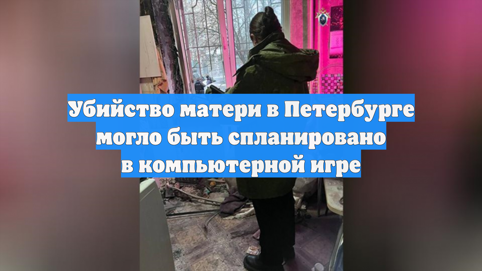 Убийство матери в Петербурге могло быть спланировано в компьютерной игре смотреть онлайн