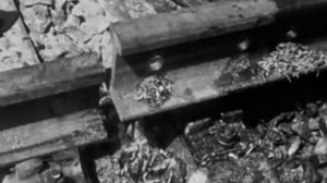 Загадочное_Крушение_Скоростного_Поезд...аря_2025_года_в_18_34_30_00_20_04._5