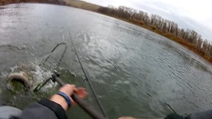 ЛИЧНЫЙ РЕКОРД ПО СУДАКУ НА СПИННИНГ 2670гр УРА !!!