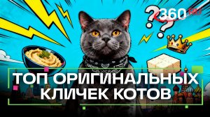 Хумус, Тофу и Барин: как жители Москвы назвали бы своих котов?