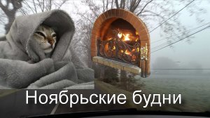 Шьем и возим Дениса. Наш котик - хранитель очага!