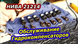Как обслужить гидрокомпенсаторы на Лада Нива 21214 - Пошаговая инструкция