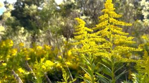 Перед сном Библейские стихи, которые приносят вдохновение и веру . Библия.