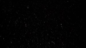 Ночной снег