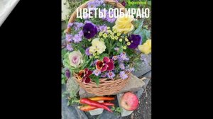 МОИ ОСЕННИЕ ФАНТАЗИИ 2.