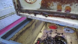 работа на пасеке с пчелами в конце ноября, на улице плюс 3 градуса - часть 1 , 27.11.2025