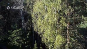 Новый выпуск программы "Деловой Егорьевск" от 27.11.25