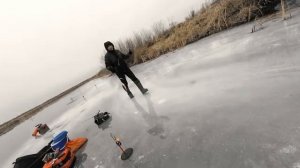 Первый Лёд! Сезон открыт! Река Ишим, Щука на жерлицы 23.11.2025