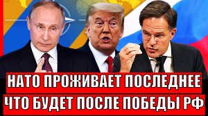 Что будет после победы России!? НАТО проживает последнее мгновение// Путин не сдерживает смех
