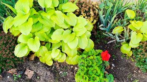 🦉А поболтать по дороге в магазин 😊.