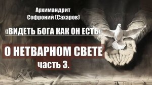 Архимандрит Софроний (Сахаров) - ВИДЕТЬ БОГА КАК ОН ЕСТЬ. Глава 15. О нетварном