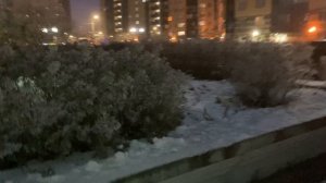 Микрорайон Парнас Спб.