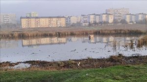 Керчь. Туман 27.11.25