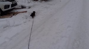 Возле улицы Бурденко.