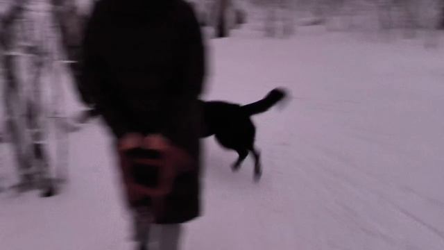 video5278231991777527572 смотреть онлайн