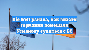 Die Welt узнала, как власти Германии помешали Усманову судиться с ЕС
