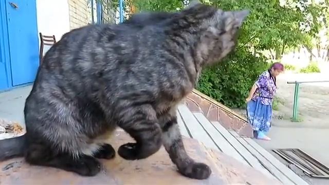 Петропавловск 2019: Серёга