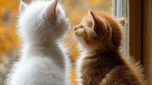 Добрый день открытки. Пожелание хорошего дня. Желаю Вам самого доброго дня и прекрасного настроения