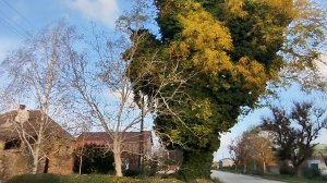 По району... Старый карантин и 7 ветров