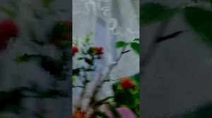 я после школы