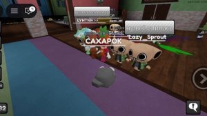 я в мир денди в ролевой игре пебл